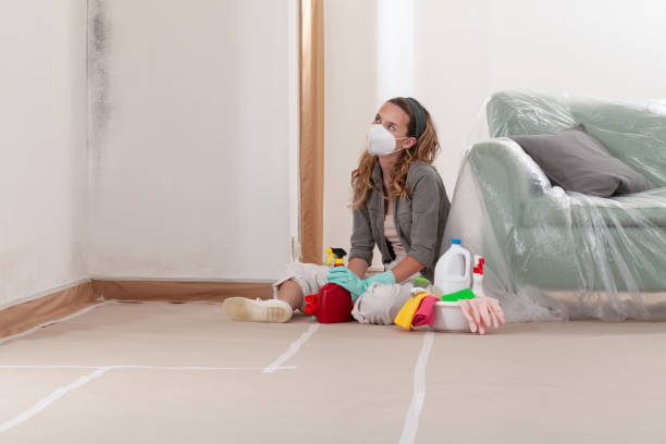 Reliable Basement Mold Remediation contractor in Shakopee, MN by 24 Hour Mold Removal